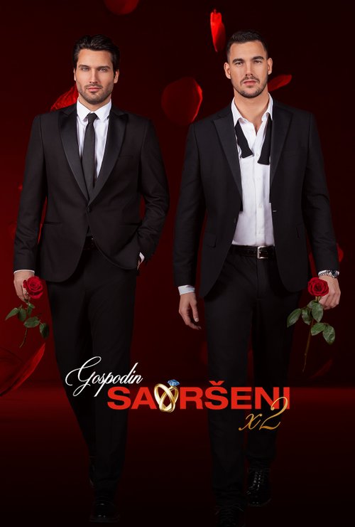 Gospodin Savršeni